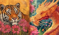 Tử vi 12 con giáp hôm nay 25/6: Mùi tích cực, Ngọ tối sáng đan xen
