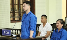 Con rể mua hơn 7 tấn vảy tê tê ‘gửi’ ở nhà mẹ vợ
