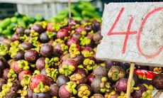 Măng cụt vào mùa giá 'siêu hời', tiểu thương chia sẻ cách loại bỏ quả hỏng, tránh lãng phí