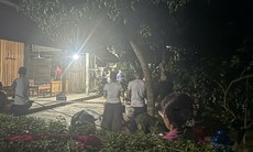 Con trai dùng dao chém mẹ ruột tử vong