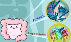 Phân biệt men vi sinh và men tiêu hóa: Hiểu rõ để dùng đúng