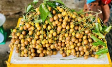 Loại quả ăn vặt dân dã vào mùa, chị em thi nhau săn đón thưởng thức