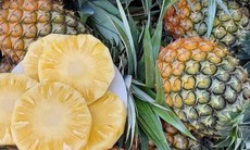 Xuất hiện loại dứa lạ trên thị trường, thơm ngon như mật được chị em đua nhau săn đón
