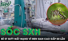 Cấp cứu cho bé gái 5 tuổi sốc sốt xuất huyết, chỉ số men gan cao gấp 50 lần bình thường
