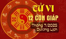 Tử vi 12 con giáp tháng 7/2025: Tý nhiều cơ hội, Tuất gặt hái thành quả
