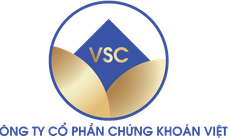 Công ty Cổ phần Chứng khoán Việt dính hàng loạt sai phạm
