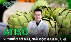 Atisô vị thuốc bổ lành tính, giải độc gan mùa hè