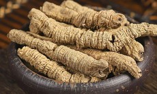5 cây thuốc nam giúp bổ thận tráng dương tăng cường sức khỏe nam giới