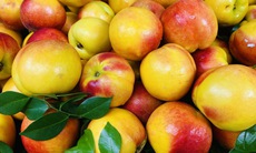 Loại quả giàu chất chống oxy hóa đang vào mùa, bán đầy chợ Việt giá hơn chục nghìn/kg