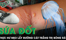Thực hư mẹo lấy đường cát trắng chà vào vết thương sứa đốt sẽ hết bỏng rát 