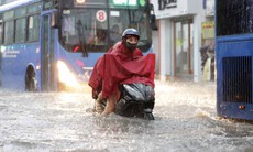 Diễn biến mới nhất về vùng áp thấp trên Biển Đông