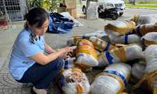 700kg mực khô không rõ chủ bốc mùi trên vỉa hè Đà Nẵng
