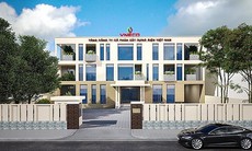Tổng Công ty Xây dựng Điện Việt Nam bị xử phạt