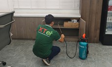 Tổ mối trong nhà - nỗi lo âm thầm trong tổ ấm nhỏ