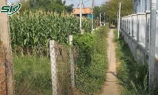 Người đàn ông máu lạnh nổ súng bắn vào chỗ hiểm khiến anh họ tử vong, hé lộ lý do không ngờ
