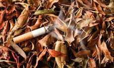Thuốc lá: Nỗi ám ảnh kép về sức khỏe con người và môi trường
