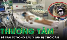 Thương tâm: Bị chó nhà cắn 3 lần nhưng không tiêm phòng, bé trai 13 tuổi không qua khỏi 
