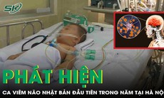 Hà Nội phát hiện ca viêm não Nhật Bản đầu tiên trong năm là bé trai 4 tháng tuổi