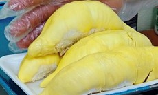 Mẹo ăn sầu riêng mà không bị tăng cân