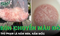 Mua bún trắng vài giờ sau hóa đỏ: Nấm men, nấm mốc là thủ phạm 
