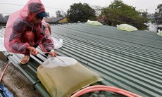 Bão số 3 tăng cấp chóng mặt chỉ trong vòng 3 tiếng, người dân phải làm gì để an toàn?