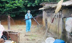 Hai ca mắc viêm não Nhật Bản B ở Quảng Ninh đều có triệu chứng sốt, đau đầu