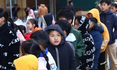 Vi chất dinh dưỡng là 'chìa khóa' phòng ngừa suy dinh dưỡng ở trẻ