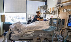 Mỹ: 20 bang nộp đơn kiện về việc rò rỉ dữ liệu cá nhân chương trình Medicaid