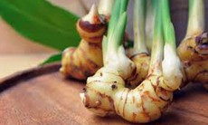 Củ riềng có tác dụng gì?
