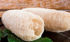 6 cách chế biến mướp tốt cho sức khỏe