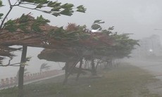Bão số 3 vừa tăng lên 1 cấp và còn mạnh thêm, mưa lớn nhất tập trung vào đêm nay và sáng mai
