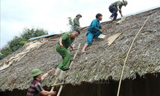 Chỉ đạo của Ban Bí thư về việc ứng phó với cơn bão số 3 (Wipha)