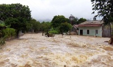 Thủ tướng: Ứng phó khẩn cấp với lũ trên lưu vực sông Cả
