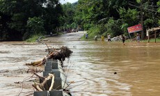Bộ Nông nghiệp và Môi trường chỉ đạo ứng phó với lũ trên sông Cả và đảm bảo an toàn đê hữu Cầu