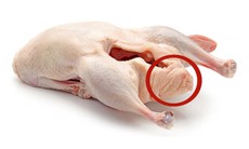 Món ngon từ phao câu gà, vịt và lời khuyên của bác sĩ