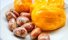 Ăn hạt mít có tác dụng gì?