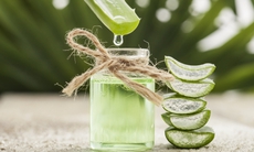 Lô hội tốt cho da như thế nào?