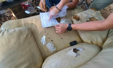 Giấu ma tuý trong nghĩa trang để bán cho 'con nghiện'