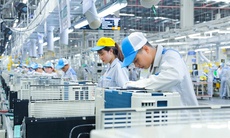 91,1% doanh nghiệp trở lại hoạt động