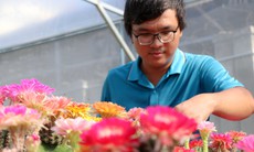 Chàng trai 9X lai tạo giống xương rồng với hàng trăm màu rực rỡ