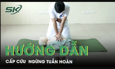 Hướng dẫn cấp cứu người ngừng tuần hoàn 