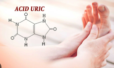 Acid uric cao gây hại như thế nào?