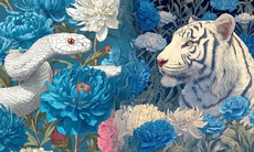 Tử vi 12 con giáp hôm nay 2/8: Tỵ gặp quý nhân, Mão tài lộc dồi dào