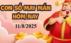 Con số may mắn hôm nay 11/8 - số tài lộc 12 con giáp ngày mới
