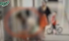 Cô gái trẻ bị đánh dã man ngay sảnh chung cư, camera ghi lại chi tiết phẫn nộ