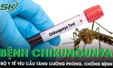 Bộ Y tế yêu cầu tăng cường phòng, chống bệnh Chikungunya