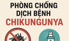 Hải Phòng lên phương án phòng, chống dịch bệnh Chikungunya
