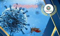 Cảnh báo bệnh Chikungunya do muỗi Aedes: gây sốt cao, đau và viêm khớp