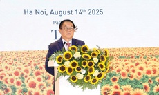 Triển khai có hiệu quả các chương trình nâng cao trí lực, thể lực, tầm vóc người Việt Nam