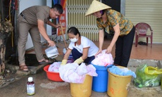 Nghệ An tích cực giám sát và dự phòng dịch Chikungunya